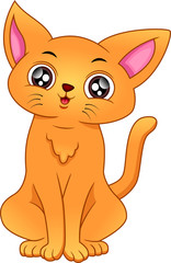 cute cat cartoon on a white background