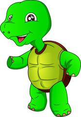cute green turtle cartoon on a white background