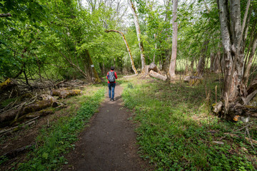 Mindelsee am Bodensee Radolfzell