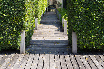 Obraz premium Wooden pathway