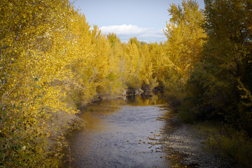 A beautiful autumn view of a flowing creek