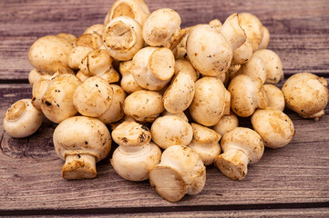 Young mushrooms scattered on a wooden background. Close up.