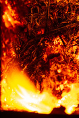 Close-Up Look at a Burning Fire
