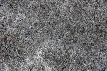 scorched grass on the field after a fire