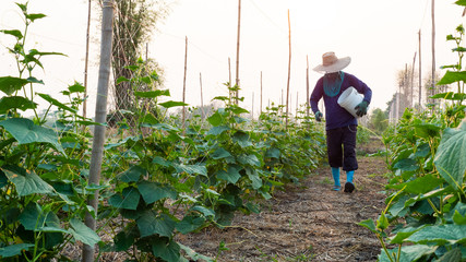 The farmer is looking after her farm. With fertilizer and close care