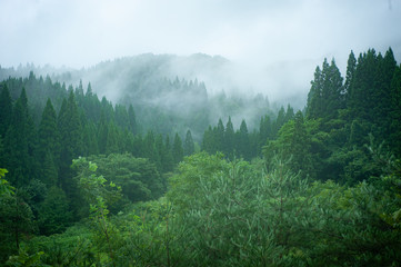霧が掛かった秋田の山と森