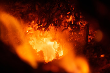 Closeup of burning wood, embers, flame and extreme temperatures inside a burning bonfire or campfire