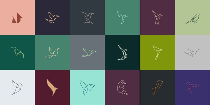 Set of Premium Bird logo