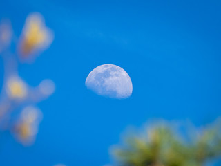 Half moon in the blue sky at late afternoon