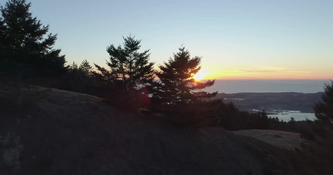 Setting Sun Behind Trees Arial