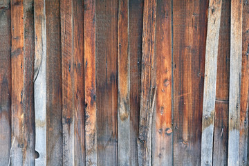 Background, texture of an old gray wooden fence with nails.