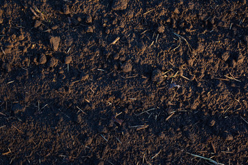 texture of digested black earth
, brown earth background