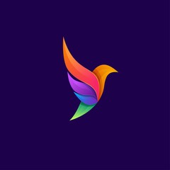 Bird logo colorful with illustration