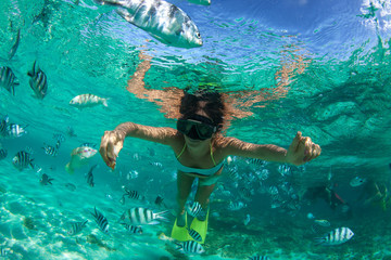 Snorkeling in Mauritius