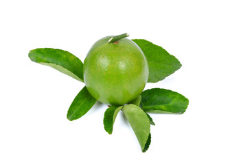 Lime isolated on white background