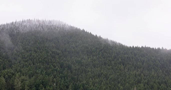 Simdes Lush Mountain Of Tall Green Trees In A Foggy Environment - Aerial Shot