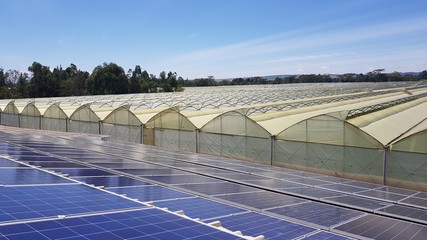 aerial drone photo of a solar power plant