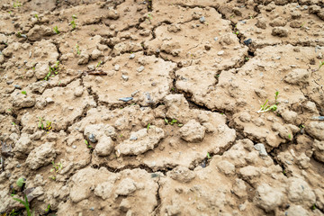 Cracks in dry soil due to lack of rainfall. Barren soil with cracks