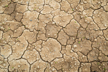 Cracks in dry soil due to lack of rainfall. Barren soil with cracks and no vegetation