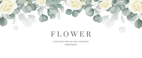 Flower banner, floral background, white roses and green eucalyptus leaves - obrazy, fototapety, plakaty