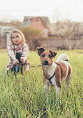 
fox terrier and girl are sitting on the grass