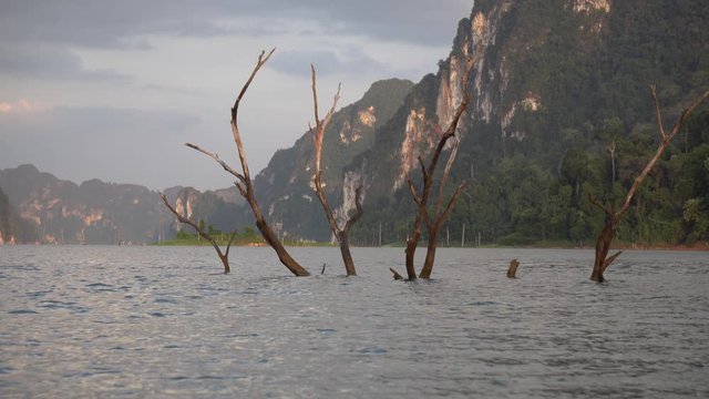 Sailing in Tropical Waters of Thailand With VIew of Tree Banches and Steep Limestone Cliffs