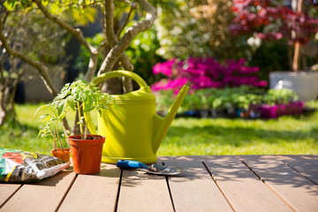 Plantation au jardin, outil de jardin pour le potager et arrosoir au soleil.