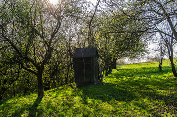 stary wiatrak  © wedrownik52