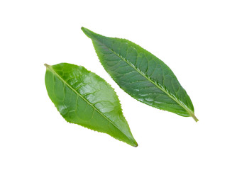 Tea leaves on a white background
