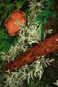 artificial wood or tree with grass