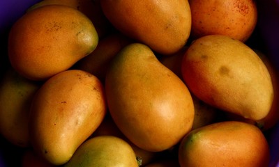 fondo de muchos mangos 