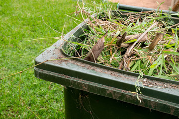Green bin container filled with garden waste. Recycling garbage for a better environment.