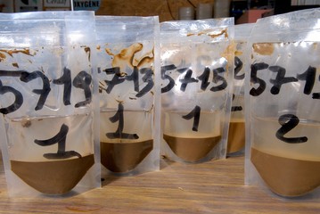 Analyse reliquats azote dans les sols. Analyse échantillons de terre dans un laboratoire