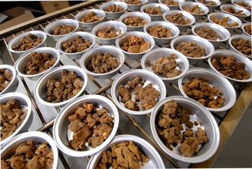 Analyse reliquats azote dans les sols. Analyse échantillons de terre dans un laboratoire