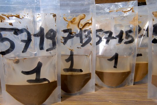 Analyse reliquats azote dans les sols. Analyse &eacute;chantillons de terre dans un laboratoire