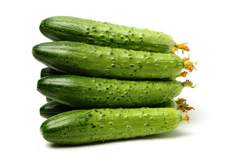 Green cucumber on the white background