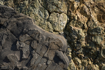 Stone, rock, textured texture for design use. With a green tint