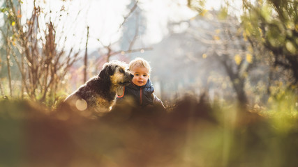 Happy toddler with her dog playing and hugging on sunny afternoon.