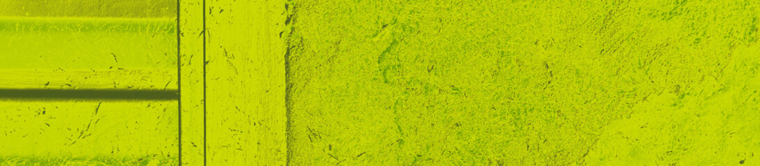 abstract lime and green colors background for design