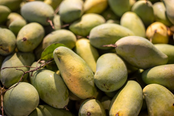 Texture of Pile Of Fresh Green Mangoes For Sale In The Market