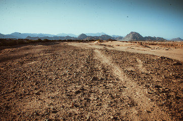 Walk along the green with a view on its beautiful landmarks - Mosque, Egypt.