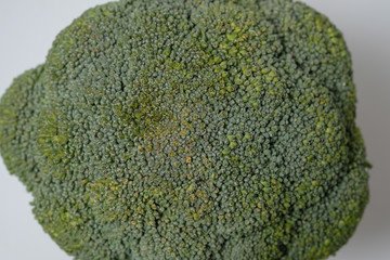 Fresh broccoli isolated on white background