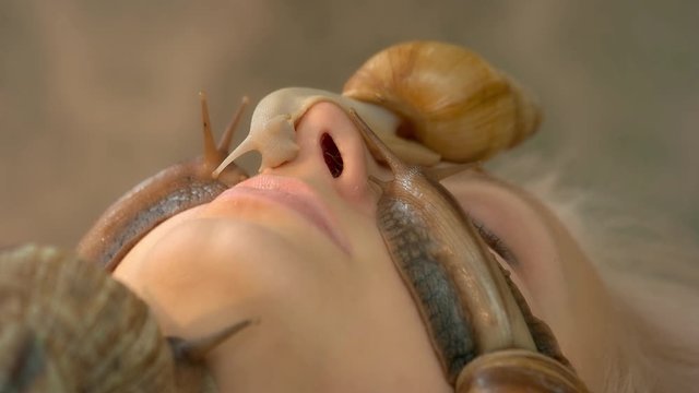 Close up big snails crawling on female face. Anti-aging qualities of snail mucus.