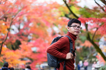 Happy man tourist looking colorful leaves in the garden, young Asian traveler visit in Kyoto city, Japan and enjoying with beautiful nature in Autumn season. Vacation, Sightseeing and travel concept