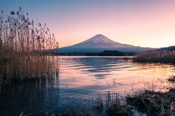 Fuji mountain view with lake and grass in foreground.