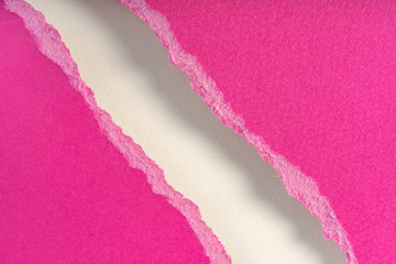 Ripped pieces of purple paper isolated on white background. Paper piece torn edge. Rip sheet paper tears.