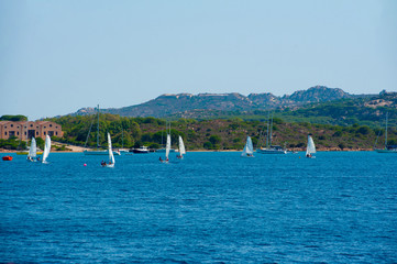 A view of several white sailboats while sailing in a regatta in the Mediterranean sea with in the background several boats moored on a sunny day with blue sky on summer, in Sardinia Italy
