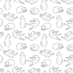 Outline domestic cat in different poses seamless pattern. Cute kittens sitting, playing, sleeping. Hand drawn contour vector illustration on white background for coloring page, pet shop, print, card.