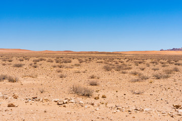 Fototapeta na wymiar Beautiful view of desert with clear blue sky from road trip in NAMIBIA 