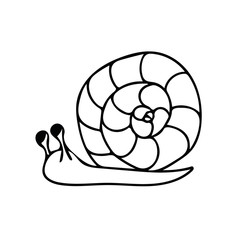 snail hand drawn in doodle style. element scandinavian monochrome minimalism simple vector element. clam, spring, summer. design card, sticker, poster icon